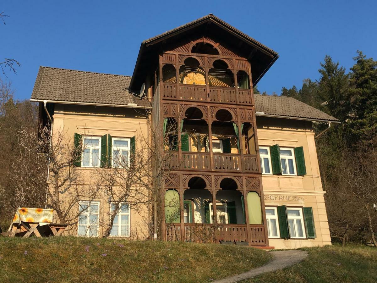 Vila Cerne Bled Extérieur photo
